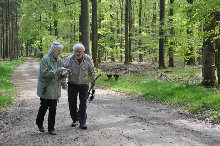 Ældre par går tur i skoven